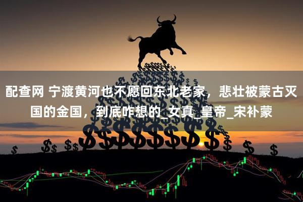 配查网 宁渡黄河也不愿回东北老家，悲壮被蒙古灭国的金国，到底咋想的_女真_皇帝_宋补蒙